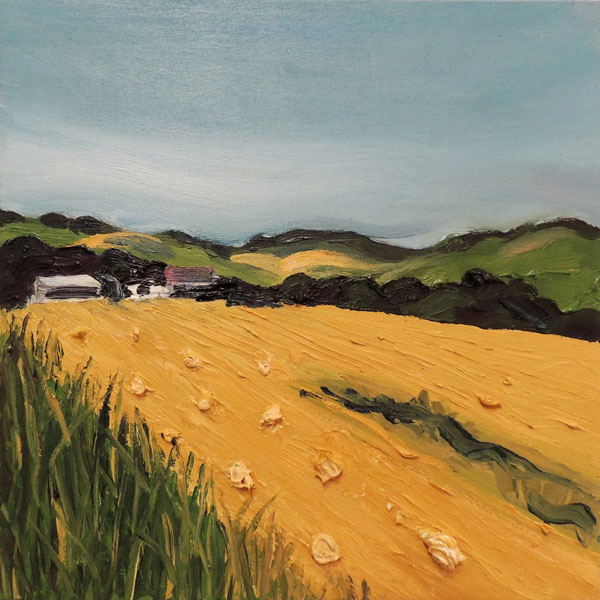 Norham Hayfield Norham-Hayfield