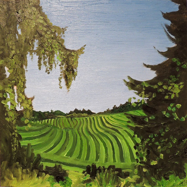 South Hayfield South-Hayfield